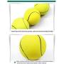 JKQ Pet Toy Balls Squeaky Light Balls Non-Toxic Chewing Bounce Toys Balls for Puppy Small Medium Dogs Pet