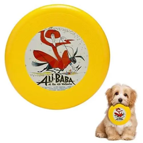 Pet Frisbee Flying Disc Dog Toy - Multifunction Ali Baba Et Les Quarante Voleurs Pet Frisbee Flying Disc Dog Toy - Multifunction Ali Baba Et Les Quarante Voleurs
