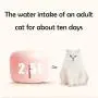 Cat and Dog Water Fountain, Super Quiet Cat Water Dispenser with Filter, USB Charging Automatic Drinking Dispenser for Pets (2.5L),Pink Cat and Dog Water Fountain, Super Quiet Cat Water Dispenser with Filter, USB Charging Automatic Drinking Dispenser for Pets (2.5L),Pink