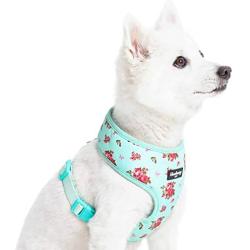 Blueberry Pet 2021 New 3 Patterns Soft & Comfy Spring Scent Inspired Floral Dog Harness Vests