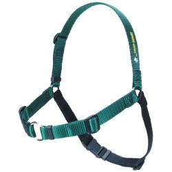 Sense-ation No-Pull Dog Harness - Green with Black Medium/Large (Narrow)