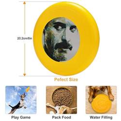 Pet Frisbee Flying Disc Dog Toy - Multifunction Somebody to Love Paul Lovering