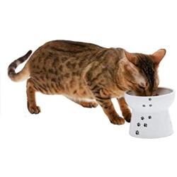 Necoichi Raised Cat Food Bowl Large, Cat