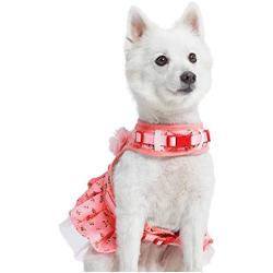 Blueberry Pet 2021 New 3 Patterns Soft & Comfy Spring Scent Inspired Floral Dog Harness Dresses