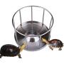 BEYST Reptile Feeding Bowl Stainless Steel Food Dish Water Tray w/Round Railing Shape Pet Supplies Dispenser Tray for Tortoise