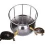 BEYST Reptile Feeding Bowl Stainless Steel Food Dish Water Tray w/Round Railing Shape Pet Supplies Dispenser Tray for Tortoise
