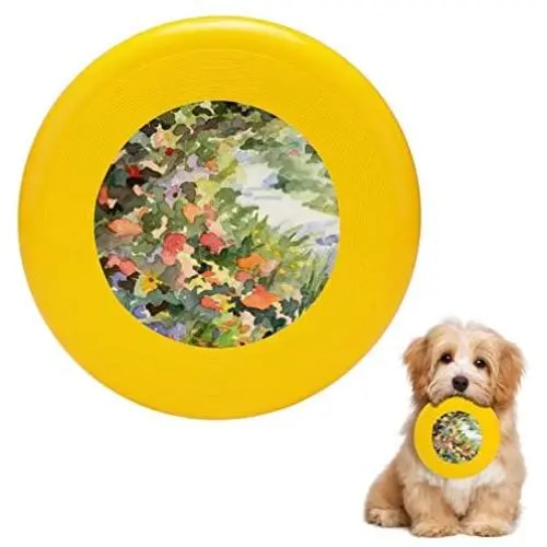 Pet Frisbee Flying Disc Dog Toy - Multifunction Path Monets Garden Watercolor Paintings of France Beverly Brown Prints