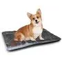 Outhouse Pet Training Mat Winter Forest in Snow with Little Cute Barn Lumberjack Shed Art Photo Super Soft Pet Cushion Dark Green and White Outhouse Pet Training Mat Winter Forest in Snow with Little Cute Barn Lumberjack Shed Art Photo Super Soft Pet Cushion Dark Green and White