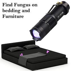 Keyfit Tools GlowMax Ringworm & Fungus Detection for Dogs, Cats, Clothing Bedding Furniture. Find Ringworm & Athletes Foot at The Source Avoid Reinfection & Target Cream & Shampoo Treatments