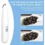 GASUR Dog Clippers, Professional 2-Speed Dog Trimmers Clippers, Cordless Low Noise Dog Grooming Clippers Kit, Rechargeable Electric Pet Clippers for Small Dogs Cats Around Face, Paws, Eyes, Ears, Rump