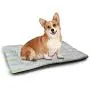 DayDayFun Kids Pet Mat Bed Colorful Doodle Style Fish Figures with Happy Faces and Bubbles Under The Sea Aquarium Pet Mats for Litter Boxes Multicolor DayDayFun Kids Pet Mat Bed Colorful Doodle Style Fish Figures with Happy Faces and Bubbles Under The Sea Aquarium Pet Mats for Litter Boxes Multicolor