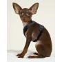 MUDINPET Dog Harness Vest, Small Dog Harness, Puppy Training No Pull Vest, Reflective Safety Comfort for Walk