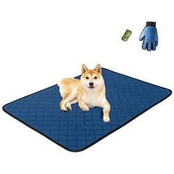 MICROCOSMOS Dog Training mat, Washable and Reusable Pee Pad, Super Absorbing Dog Whelping Pad, Leak Proof and Non Slip Puppy Training pad. Perfect at Home or in The Car.(M, Blue)