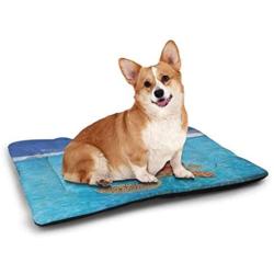 DayDayFun Turtle Pet Mat Bed Close Up Photo of Green Turtle at Sipadan Borneo Malaysia Cute Animal Under The Sea Waterproof and Urine-Proof Pet Mat Blue Yellow