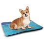 DayDayFun Turtle Pet Mat Bed Close Up Photo of Green Turtle at Sipadan Borneo Malaysia Cute Animal Under The Sea Waterproof and Urine-Proof Pet Mat Blue Yellow