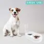 Kinghouse Dog Cat Bowls Pet Automatic Water Dispenser Detachable Dog Feeder Bowl No-Spill Pet Food Water Bowls for Cats and Dog
