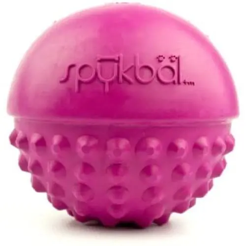 PetProjekt Spykbal PetProjekt Spykbal