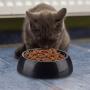 Relaxdays Foraging Feeding Bowl for Slow Eating, Cats & Dogs, Bloat Stop Dish, Dishwasher-Safe, Black