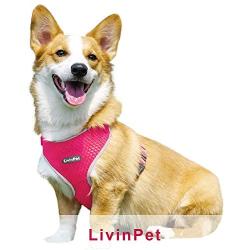 LivinPet No-Choke Dog Vest Harness w/Reflectieve Accents +Dog Collar with Zinc Alloy Metal Buckle
