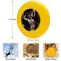 Pet Frisbee Flying Disc Dog Toy - Multifunction Cure My Tragedy Pete Tapang