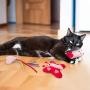 EXPAWLORER Pink Cat Collar & Catnip Toys Set for Indoor Cats - Cute Heart Collar for Girl Cats, 4 Kitten Kicker Toys with Heart, Butterfly, Fish and Cat Shape
