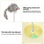 Tnfeeon Pet Cat Playing Toy, Plastic Pet Kitten Playing Board Teaser Funny Interactive Toy Spring Mouse with Bell Ball