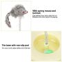 Tnfeeon Pet Cat Playing Toy, Plastic Pet Kitten Playing Board Teaser Funny Interactive Toy Spring Mouse with Bell Ball