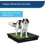 PetSafe Skip To My Loo Attractant, Potty Train Dogs to Use Pee Pads and Alternative Dog Potty Solutions