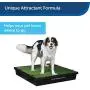 PetSafe Skip To My Loo Attractant, Potty Train Dogs to Use Pee Pads and Alternative Dog Potty Solutions