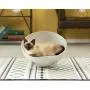 PawsMark Plastic Bowl Shaped Chair Sofa Sleeping Bed House Lounge for Cats PawsMark Plastic Bowl Shaped Chair Sofa Sleeping Bed House Lounge for Cats