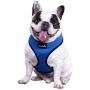 Comfort Control Dog Walking Harness, Support Mesh Padded Vest, Accessory, Collar, Lightweight, No More Pulling, Tugging or Choking, for Puppies, Small Dogs (Sizes: Small, Medium, Large & X-Large)