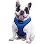 Comfort Control Dog Walking Harness, Support Mesh Padded Vest, Accessory, Collar, Lightweight, No More Pulling, Tugging or Choking, for Puppies, Small Dogs (Sizes: Small, Medium, Large & X-Large) Comfort Control Dog Walking Harness, Support Mesh Padded Vest, Accessory, Collar, Lightweight, No More Pulling, Tugging or Choking, for Puppies, Small Dogs (Sizes: Small, Medium, Large & X-Large)