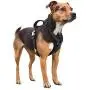 MIGOHI Dog Harness, No-Pull Reflective Breathable Adjustable Pet Harness with Control Handle, Oxford Comfortable & Soft Vest with 2 Metal Leash Clips, for Small, Medium and Large Dogs Walking MIGOHI Dog Harness, No-Pull Reflective Breathable Adjustable Pet Harness with Control Handle, Oxford Comfortable & Soft Vest with 2 Metal Leash Clips, for Small, Medium and Large Dogs Walking