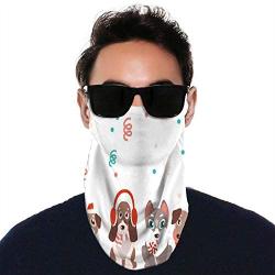 Pig - - s Czech Republic, Face Neck Gaiters ana Scarf wear for Outdoor Sports Pig 11.8 inch x 9.