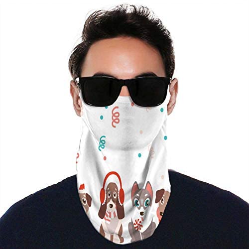 Pig - - s Czech Republic, Face Neck Gaiters ana Scarf wear for Outdoor Sports Pig 11.8 inch x 9.