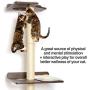 PetFusion Ultimate Cat Climbing Tower & Activity Tree. (24 x 20.8 x 76.8 inches (lwh) Tall Sisal Scratching Posts, Modern Wall Mounted cat Furniture, Espresso Finish). 1 Year Manufacturer Warranty
