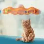 MOMU Track Window Accessories Table Tennis Ball Cat Toys Sucker Adsorption Glass New Funny Cats Educational Toy MOMU Track Window Accessories Table Tennis Ball Cat Toys Sucker Adsorption Glass New Funny Cats Educational Toy