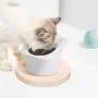 ComSaf Raised Cat Food Bowl, Elevated Slanted Kitten Pet Food Bowl, Inclined Cat Food Dish, Ceramic Cat Pet Food Water Feeder ComSaf Raised Cat Food Bowl, Elevated Slanted Kitten Pet Food Bowl, Inclined Cat Food Dish, Ceramic Cat Pet Food Water Feeder
