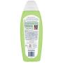 Bobbi Panter Pet Products 859008000303 Deshedding Dog Dog 2'' 1 Shampoo and Conditioner, 10 Oz