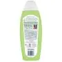 Bobbi Panter Pet Products 859008000303 Deshedding Dog Dog 2'' 1 Shampoo and Conditioner, 10 Oz Bobbi Panter Pet Products 859008000303 Deshedding Dog Dog 2'' 1 Shampoo and Conditioner, 10 Oz