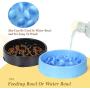 JASGOOD Slow Feeder Dog Bowl New Arriving Slow Feeding Interactive Bloat Stop Dog Bowls