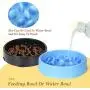 JASGOOD Slow Feeder Dog Bowl New Arriving Slow Feeding Interactive Bloat Stop Dog Bowls JASGOOD Slow Feeder Dog Bowl New Arriving Slow Feeding Interactive Bloat Stop Dog Bowls