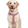 Hikiko Dog Harness and Leash Set,No Pull Adjustable Soft Pet Harness Vest Set with 4FT Training Dog Leash Easy to Control Suitable for Small Medium Large Dogs Hikiko Dog Harness and Leash Set,No Pull Adjustable Soft Pet Harness Vest Set with 4FT Training Dog Leash Easy to Control Suitable for Small Medium Large Dogs