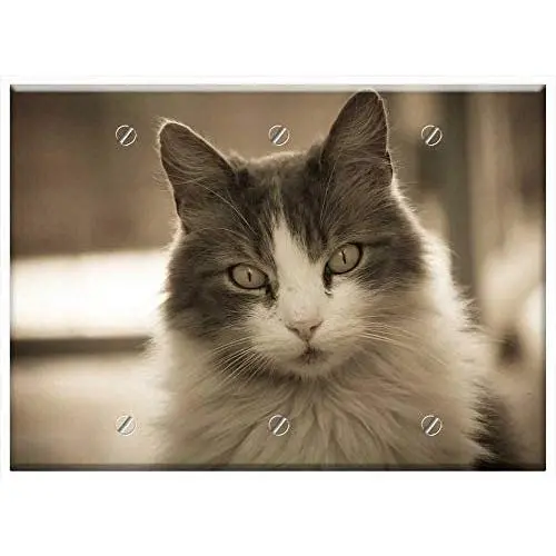 Triple Blank Wall Plate Cover - Cat Kitten Feline Pet Animals Animal Pets Cats Triple Blank Wall Plate Cover - Cat Kitten Feline Pet Animals Animal Pets Cats
