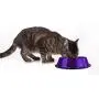 Platinum Pets Embossed Non-Tip Stainless Steel Cat/Dog Bowl