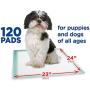 Members Mark Pet Training Pads, 23'' x 24'' (120 ct.) (pack of 2)