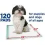 Members Mark Pet Training Pads, 23'' x 24'' (120 ct.) (pack of 2) Members Mark Pet Training Pads, 23'' x 24'' (120 ct.) (pack of 2)