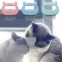 Tanlee 6 Pieces Cat Comb Pet Hair Removal Comb Cat Massage Comb Pet Hair Shedding Brush Pet Fur Grooming Brush for Cats and Dogs