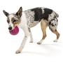 West Paw Zogoflex Air Boz Dog Toy – Floatable Pet Ball for Dogs, Fetch, Play, Chewing – Non-Toxic, Recyclable, Latex-Free Canine Toys – Durable Exterior Texture, Bouncy Squishy Ball, Made in USA