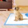 Four Paws Wee-Wee Superior Performance Puppy & Dog Training Pads 100-Count Standard 22'' x 23''